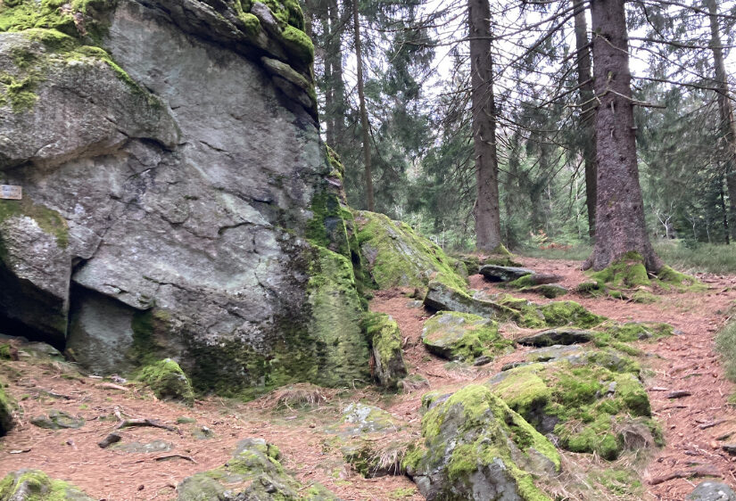 Wandern im bayerischen Wald Sankt Englmar mit Unterkunft