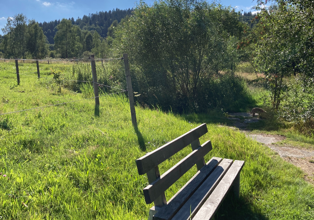 Urlaub im Bayerischen Wald: Frühling